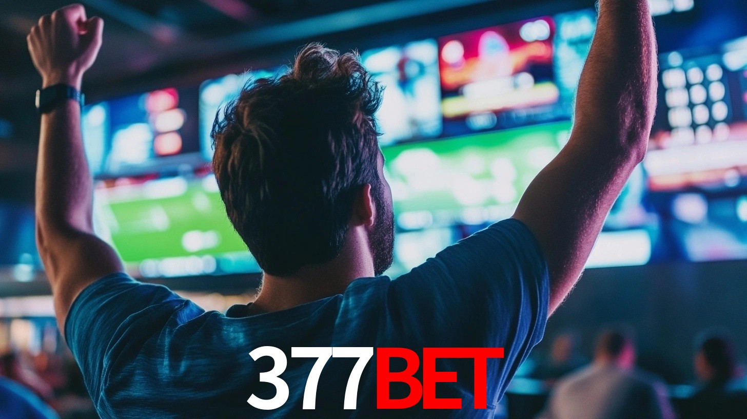 377 bet app