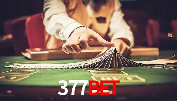 Sports Statistics 377bet
